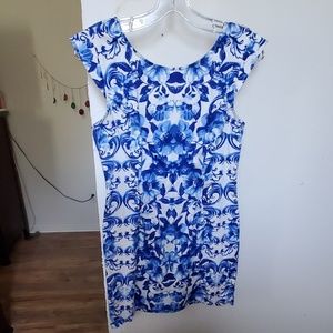 Blue and White dress